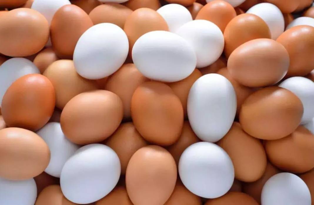 Beyaz mı kahverengi mi? Hangi yumurta daha sağlıklı? 40